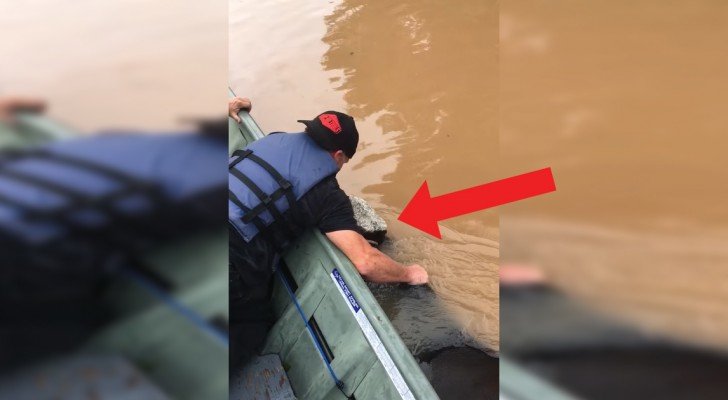 Um eine Kuh vorm Ertrinken zu retten, fahren sie eine Stunde mit dem Boot: bei der Ankunft werden euch die Tränen kommen