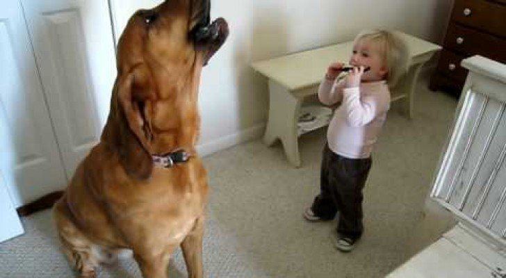 Kind und Hund bei einer freien Bluesinterpretation…