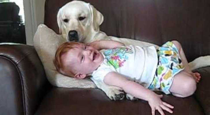 Wer ist denn süßer? Das Mädchen oder der Hund? :)
