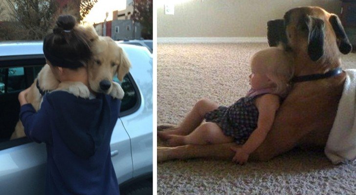 Hunde lehren uns jeden Tag, was es bedeutet, bedingungslos zu lieben: Hier sind 17 unwiderstehliche Fotos