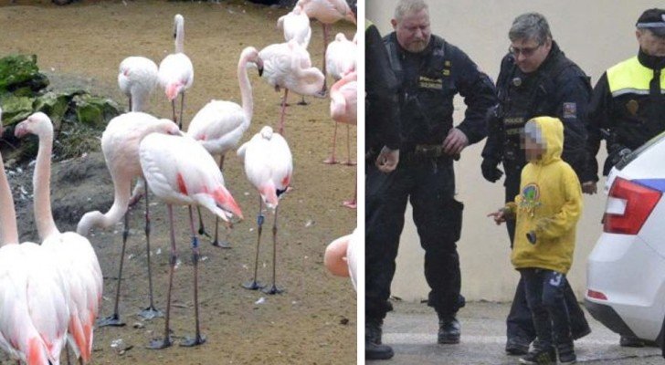Den Respekt vor Tieren nicht an Kinder weiterzugeben hat sehr traurige Konsequenzen