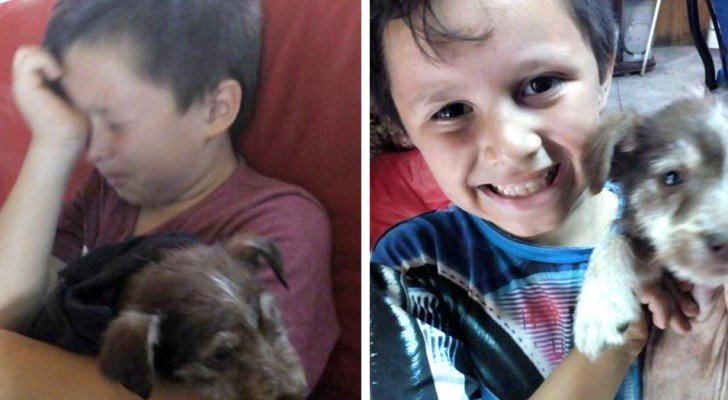 Er rettet einen Hund, der von anderen Kindern misshandelt wurde und bringt ihn zum Tierarzt: Kurze Zeit später sind sie unzertrennlich