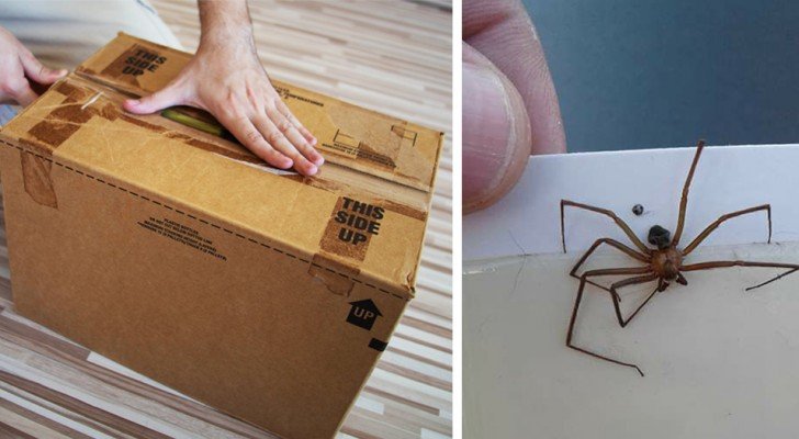 Online-Shopping: Ein Experte warnt vor möglichen Risiken bei Zustellpaketen