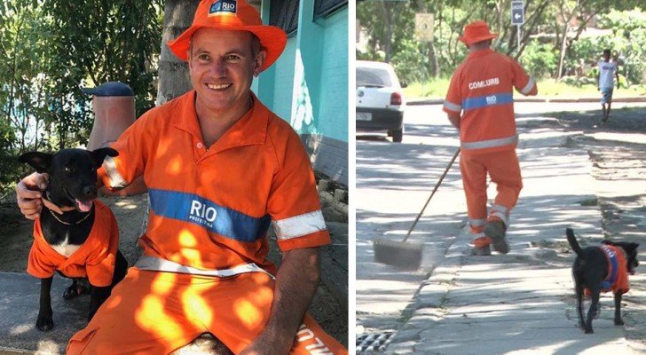 Dieser Hund in Uniform begleitet den Mann jeden Tag zur Arbeit, der ihn von der Straße zur rettete