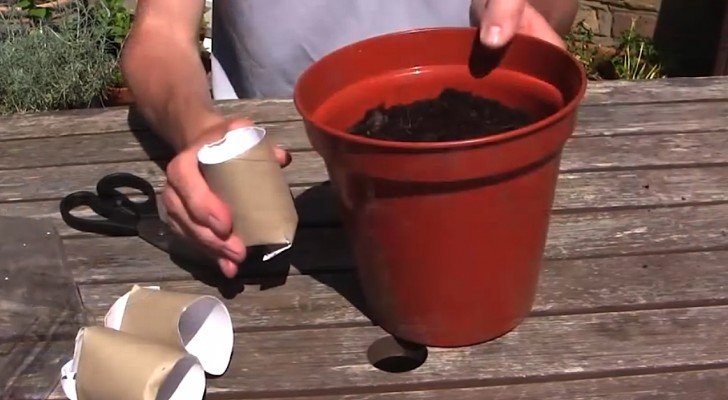 Er gibt Klopapierrollen in Blumenerde: Sein Trick ist genial!