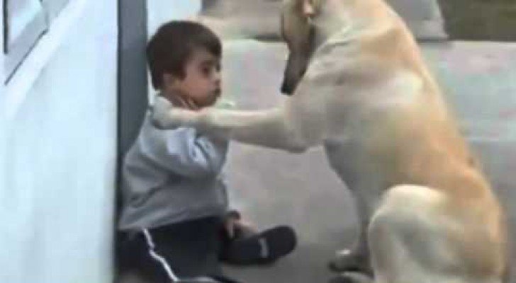 Hunde sind die besseren Menschen…