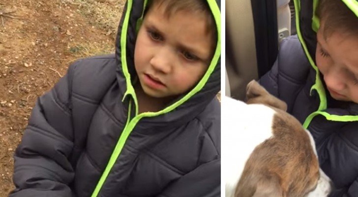 Er findet seinen Hund nach einem Monat wieder: Seine Reaktion macht alle sprachlos