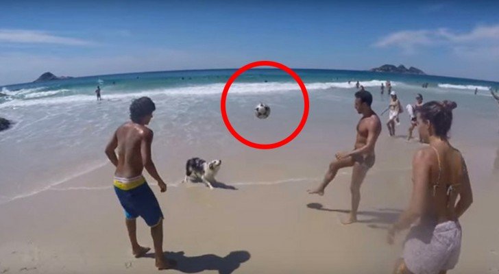 Sie spielen mit dem Ball am Strand.. Aber wenn der Hund dran ist? Wow!