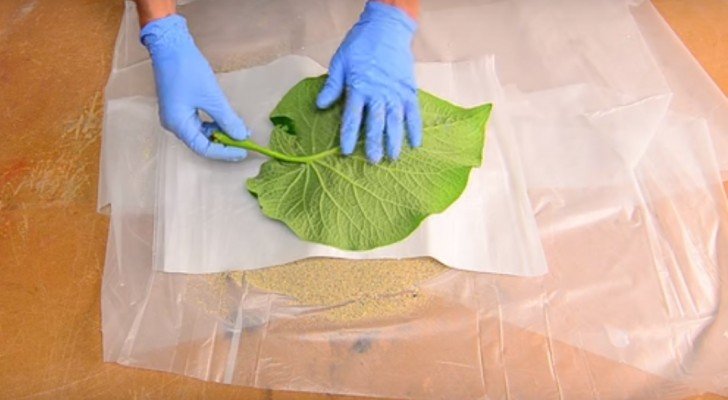 Er legt ein Blatt auf einer Schicht Sand. Das Ergebnis? Zum Nachmachen
