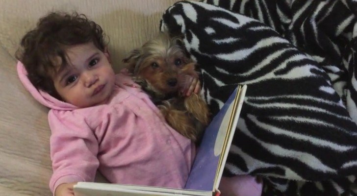 Das machen dieses Mädchen und ihr Hund jeden Abend: Ihr Verhalten ist unwiderstehlich
