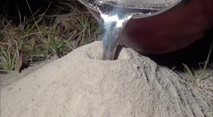 Was macht man mit flüssigem Aluminium einer Ameisenkolonie?